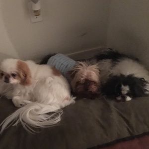 Meet your Posher, Dawn